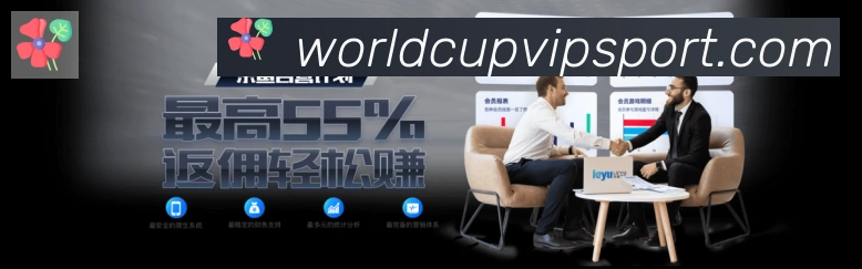 体育数据展示
